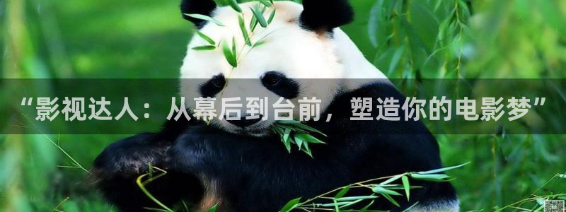 丝瓜视频无限观看